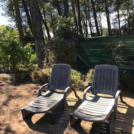 Vila La Pinede Mornas Exteriér fotografie